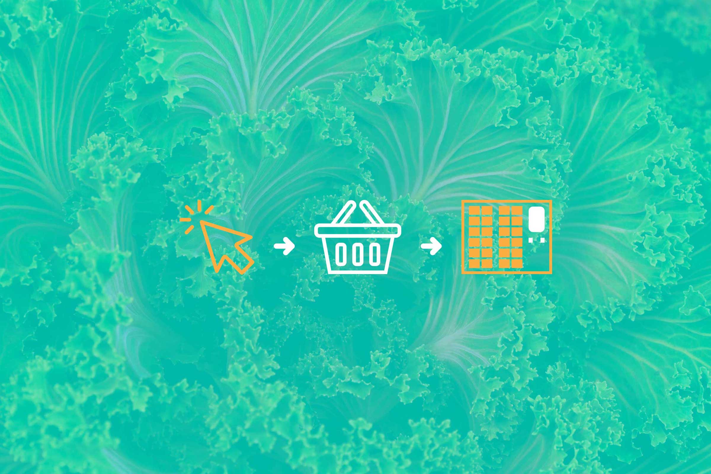 Click and Collect du concept Coqillico