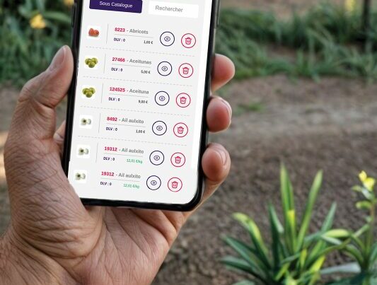Le Kiosque, vous outil de pilotage des casiers connectés à distance