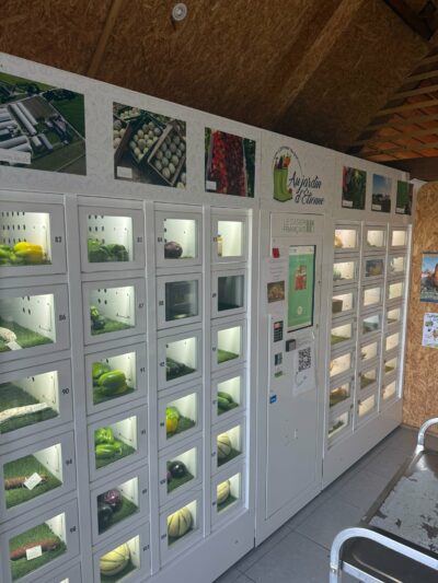 Installation au Jardin d'étienne